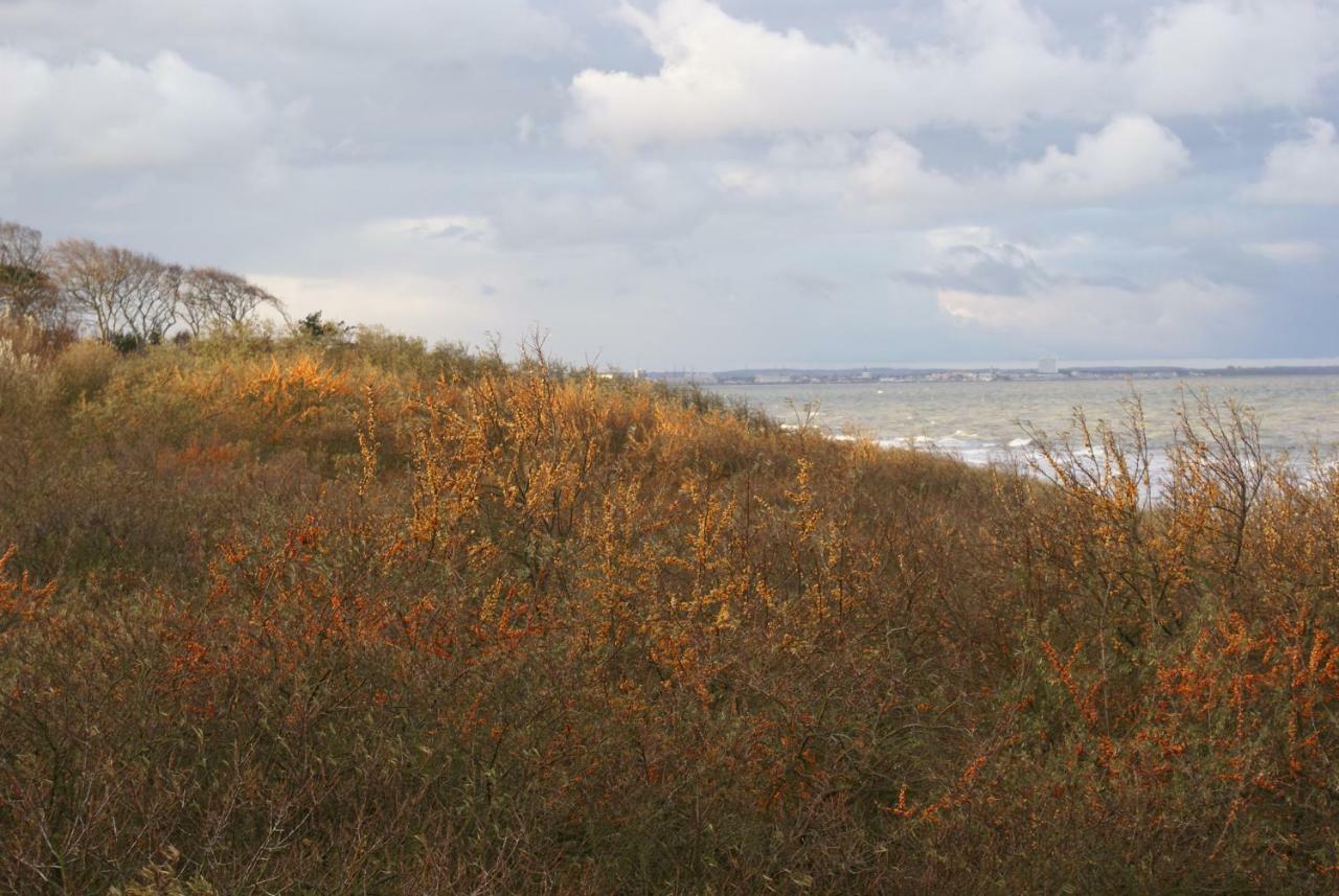 Ostsee Ferienapartments Graal-Mueritz Exterior foto